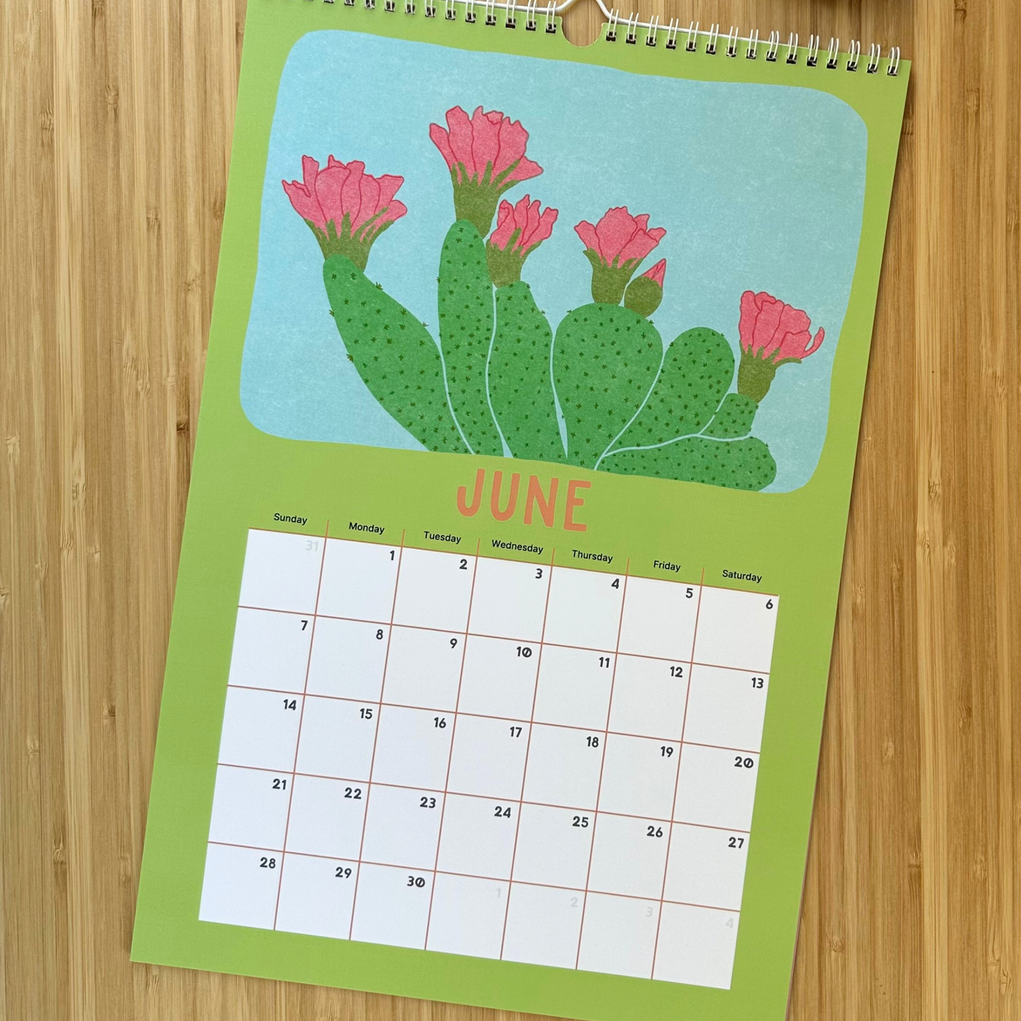 Joshua Tree National Park Desert Plant & Animal Academic Wall Calendar (July 2026 - June 2027)