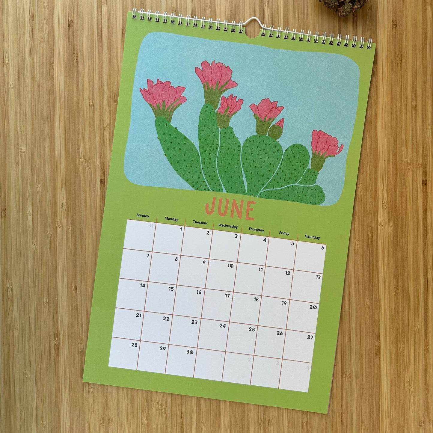 Nature Inspired Wall Calendar Joshua Tree National Park Desert Landscape Series Wildlife Botanical Illustrations Monthly Planner Large Format Design Southwestern Art Collection Desert Plants Desert Animals Beautiful Minimalist Style Home