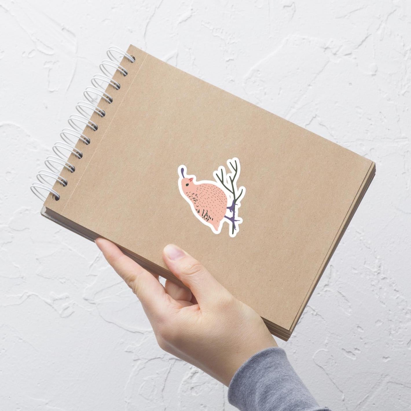 Pink Desert Quail Sticker