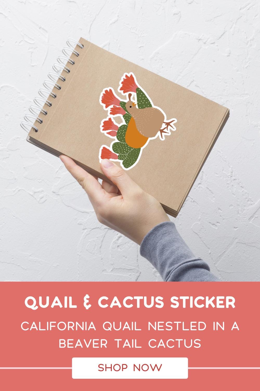 California Quail and Cactus Sticker