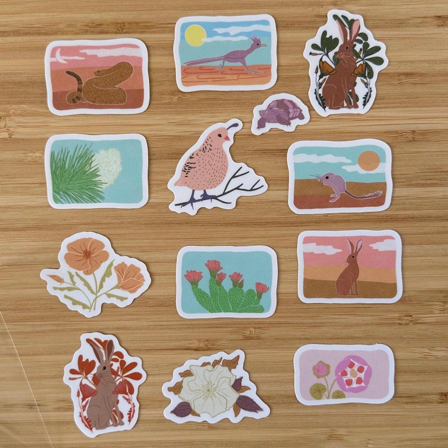 Desert Animal Sticker Bundle