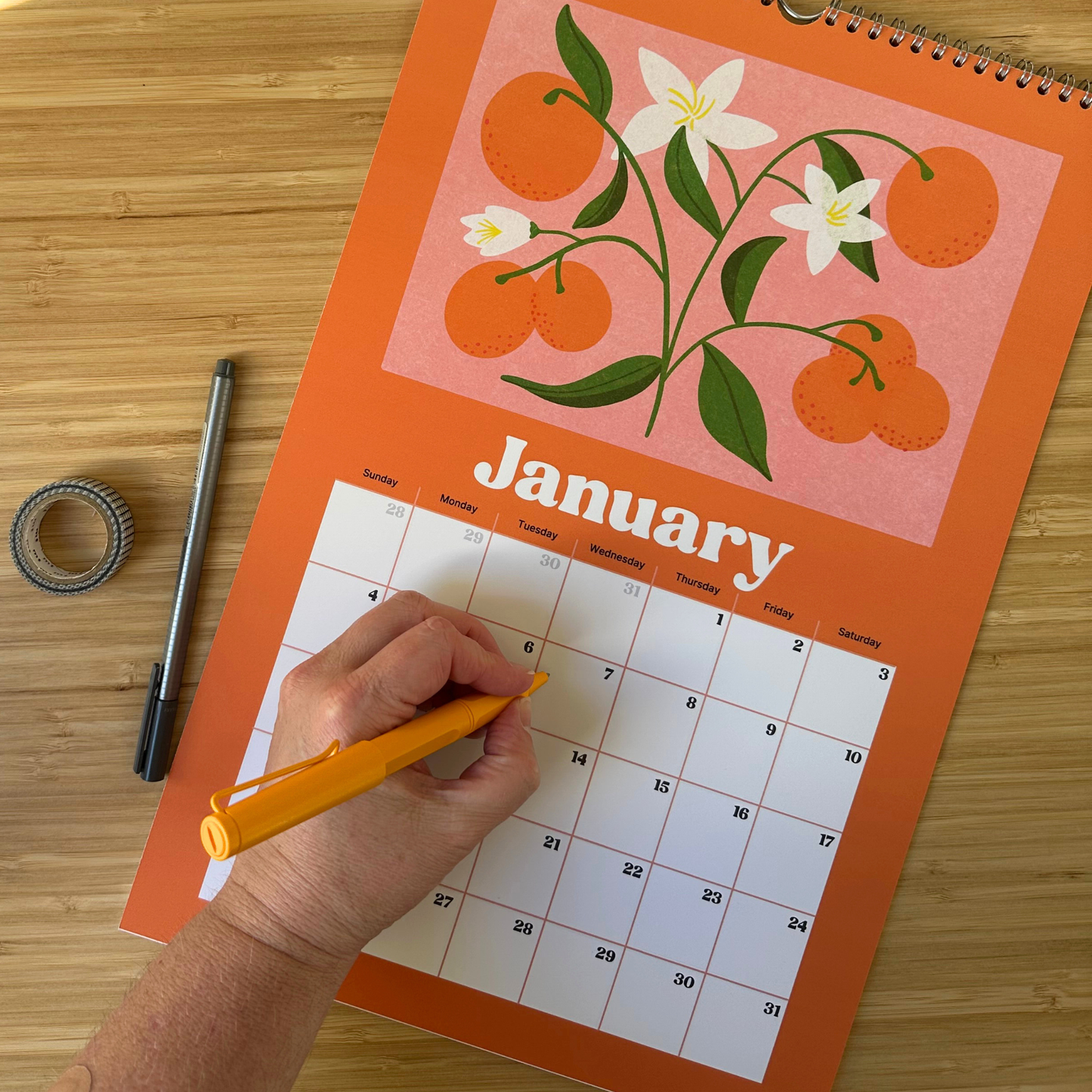 Academic Year Fruit Vegetable Illustration Wall Calendar (July 2026 - June 2027 )