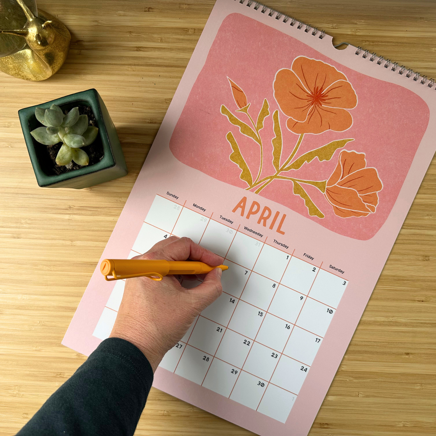 Joshua Tree National Park Desert Plant & Animal Academic Wall Calendar (July 2026 - June 2027)